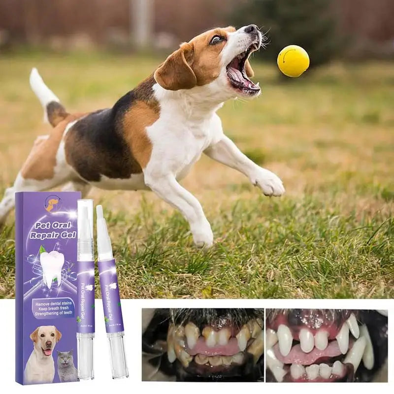 Gel Reparador Oral Dental Pet